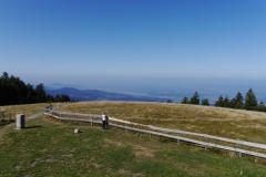 1 Kandel (14)