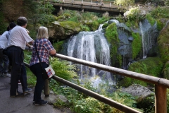 3 Triberg Wasserfälle (13)
