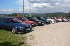 3 Triberg Wasserfälle (8)