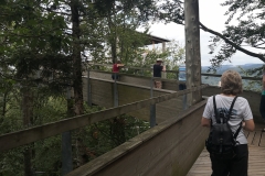IMG_20190901_123945
