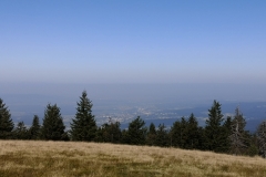 Kandel (26)
